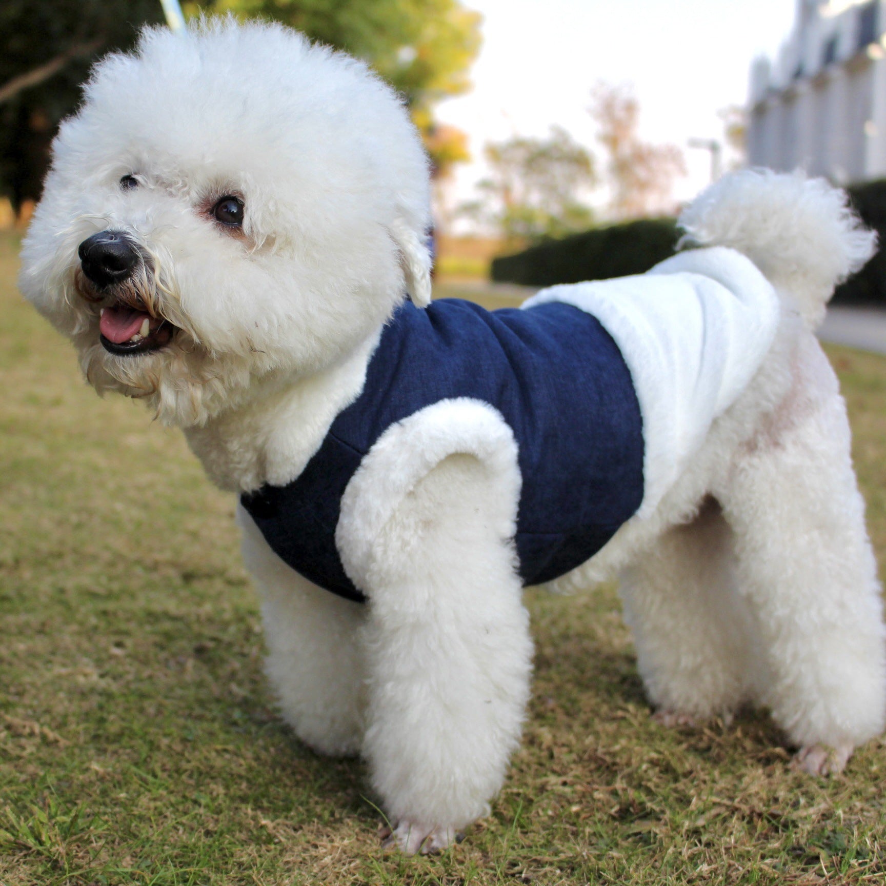 Plush Dog Vest – Warm Winter Pet Clothes with Fur Collar
