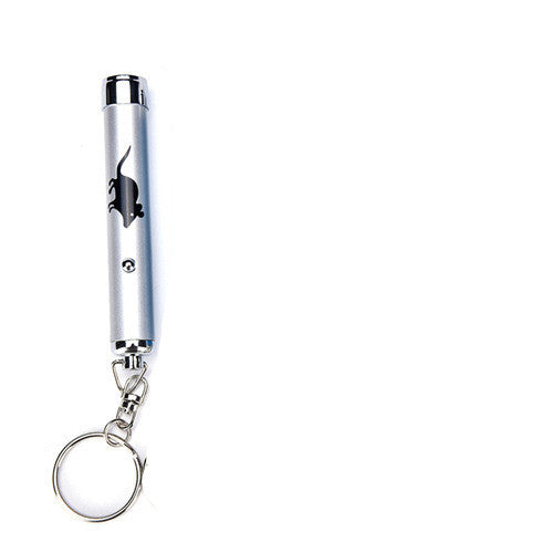 Pet Laser Pointer Toy – Dogs, Cats & Small Animals