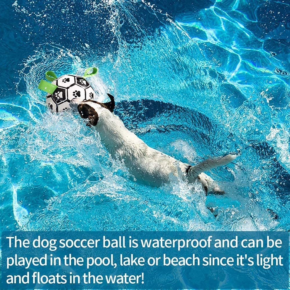 Interactive Dog Football Toy – Durable Soccer Ball for Pets
