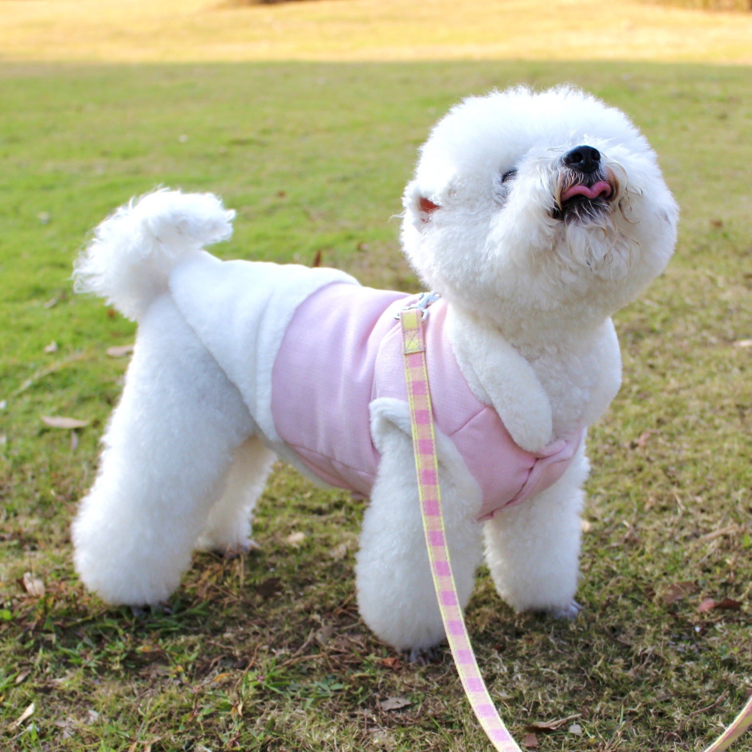 Plush Dog Vest – Warm Winter Pet Clothes with Fur Collar