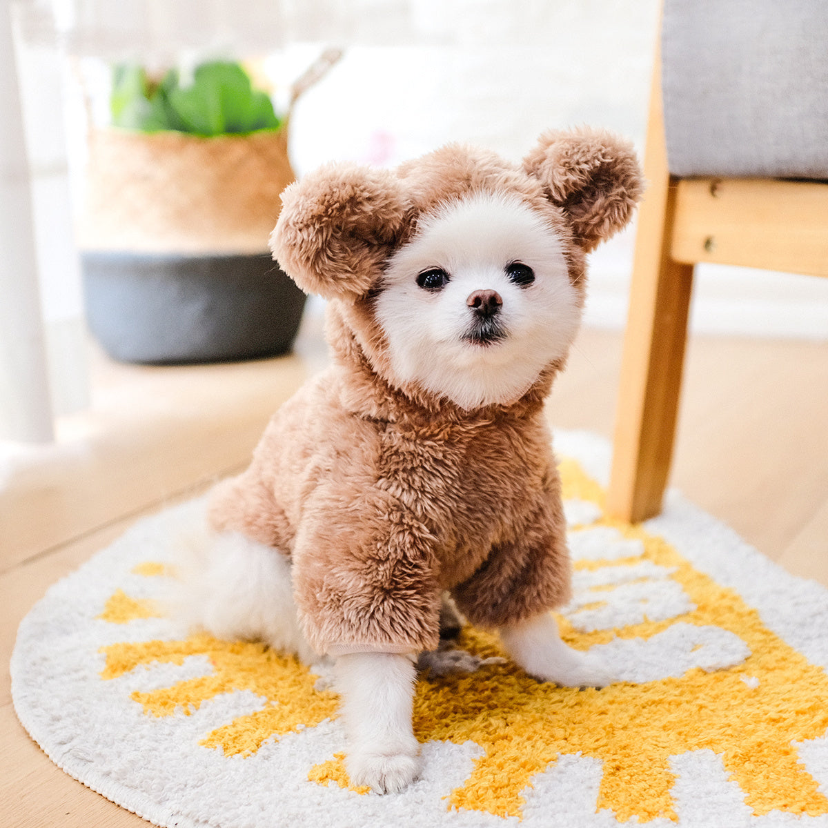 Adorable Plush Pet Warm Teddy Bear Hoodie Costume for Dog & Cat - Soft, Furry, and Comfortable Pet Costumes for Halloween, Christmas, and Daily Wear