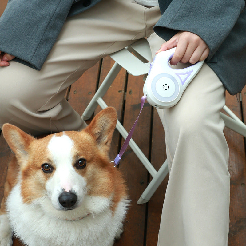 Retractable Dog Leash with Collar & LED Spotlight
