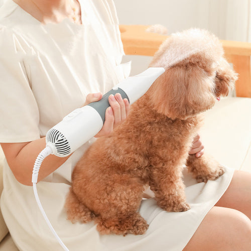 2-in-1 Pet Electric Comb – Detangles, Removes & Blows Hair