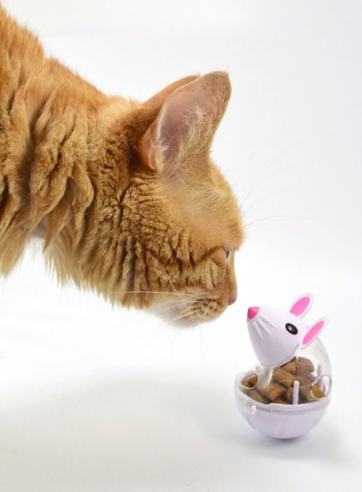 Pet Leaking Device Mouse Tumbler Funny Cat Interactive Toy