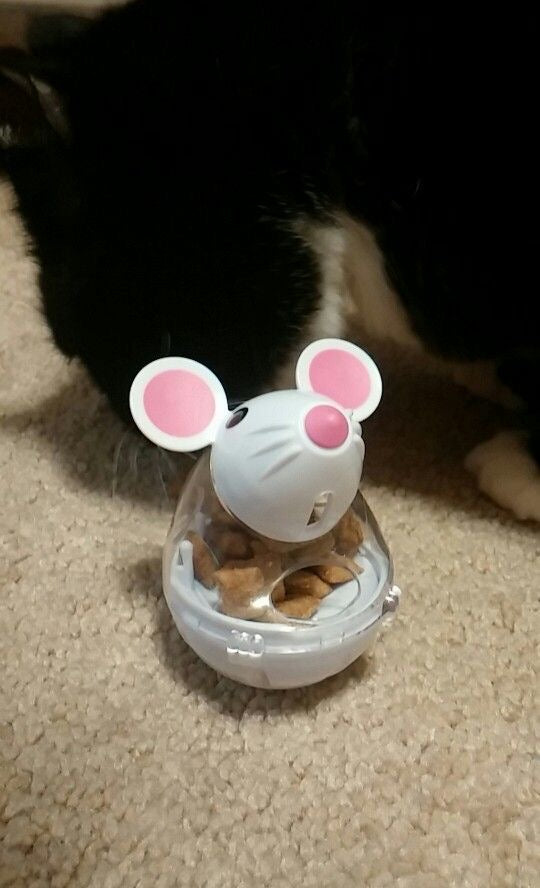 Pet Leaking Device Mouse Tumbler Funny Cat Interactive Toy