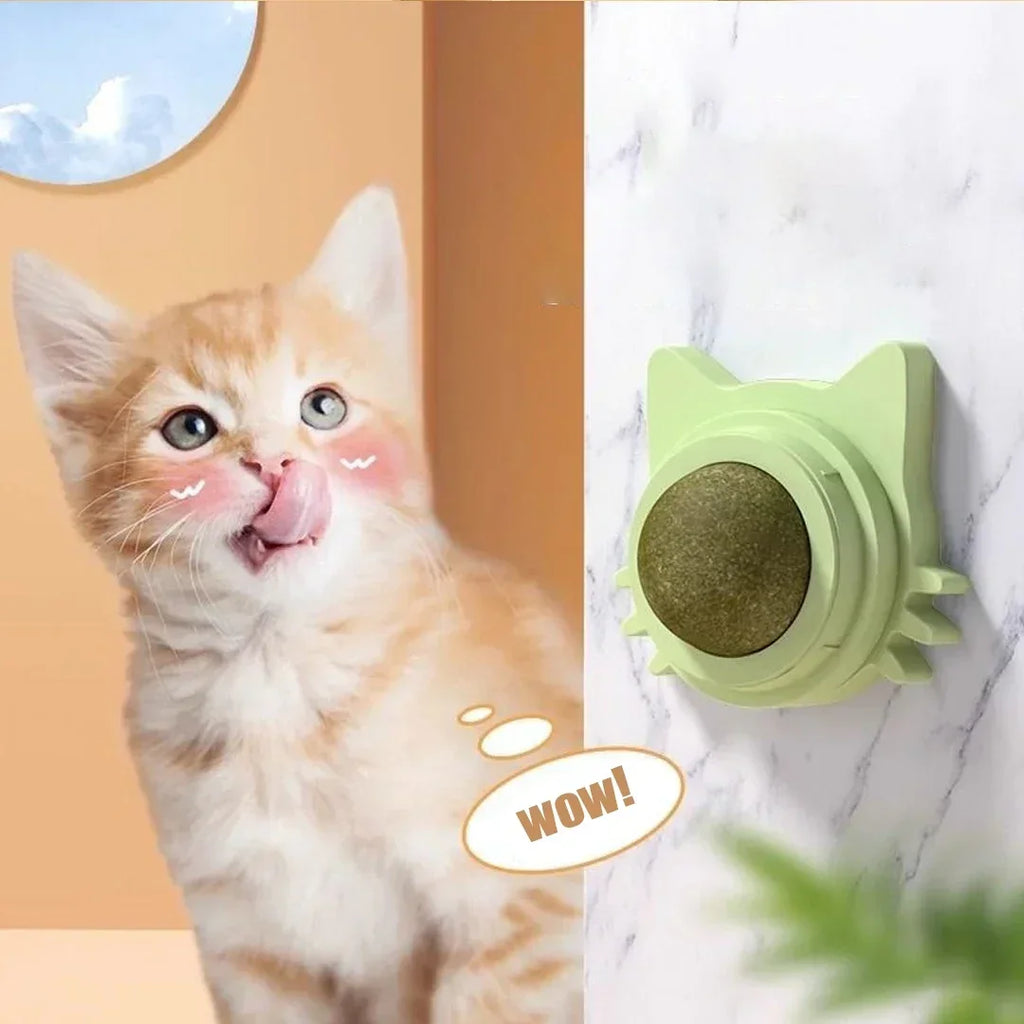 Interactive Catnip Wall Ball Toy-1