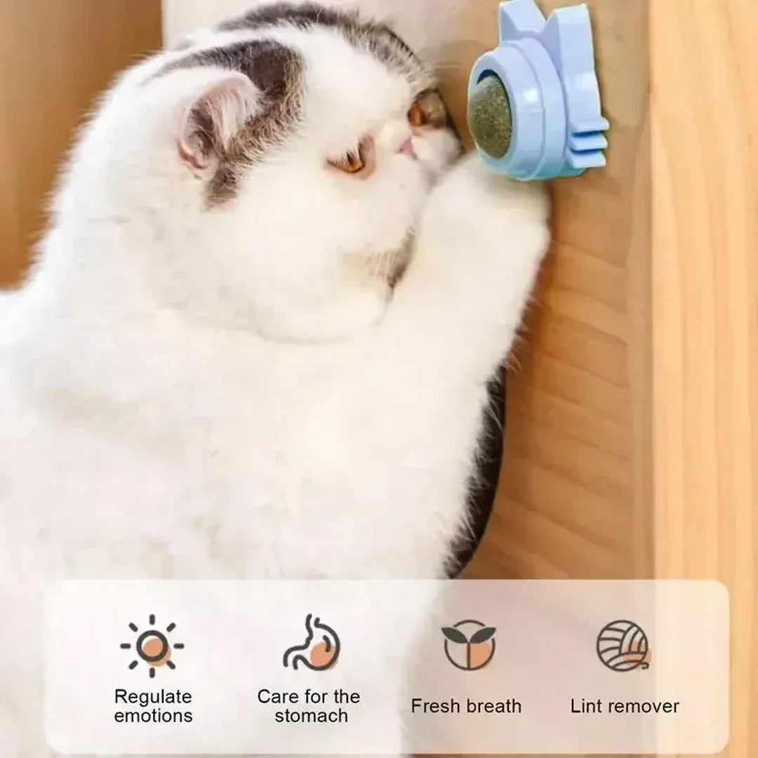 Interactive Catnip Wall Ball Toy-3
