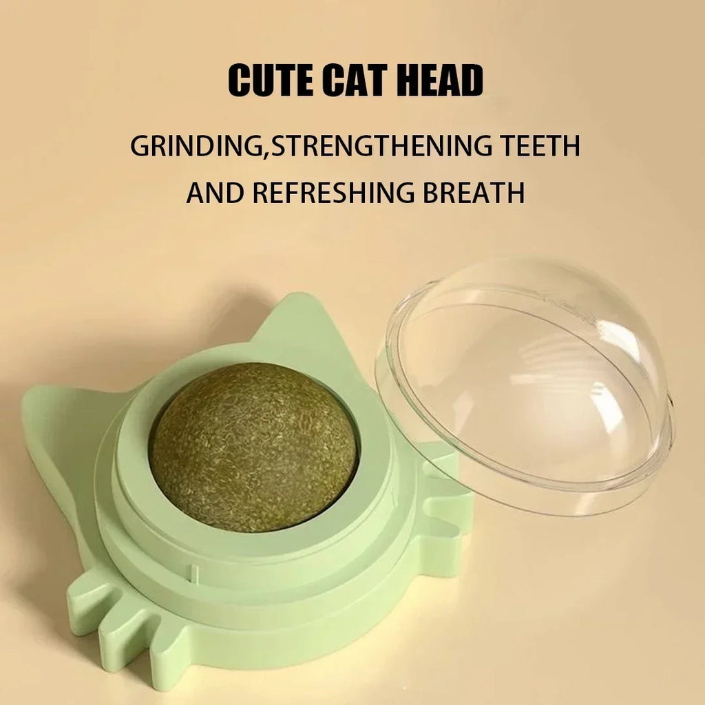 Interactive Catnip Wall Ball Toy-4