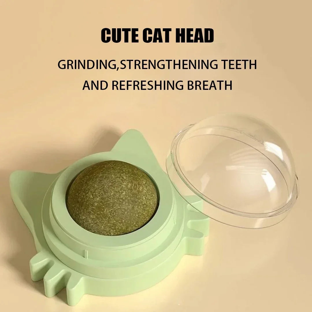 Interactive Catnip Wall Ball Toy-4