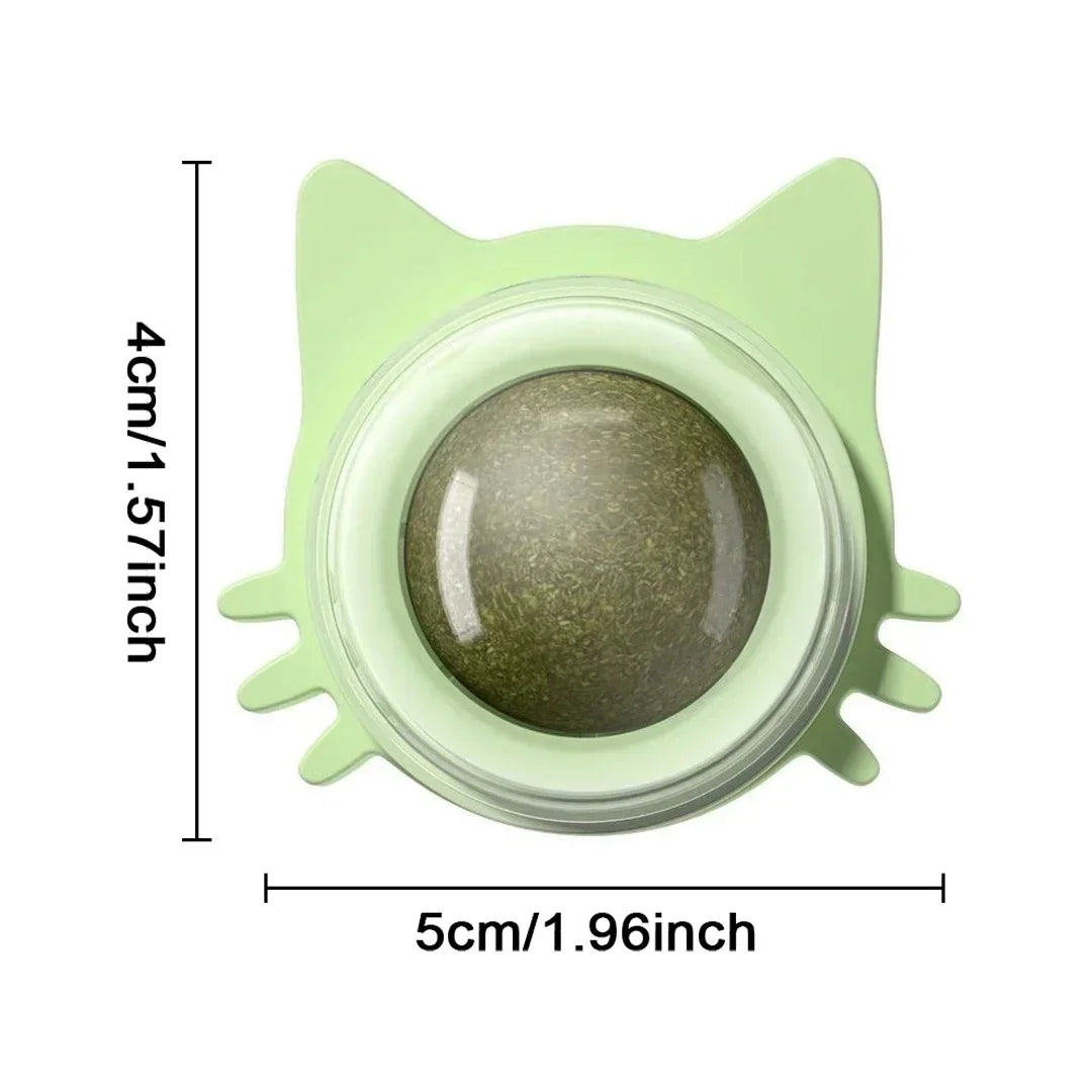 Interactive Catnip Wall Ball Toy-5