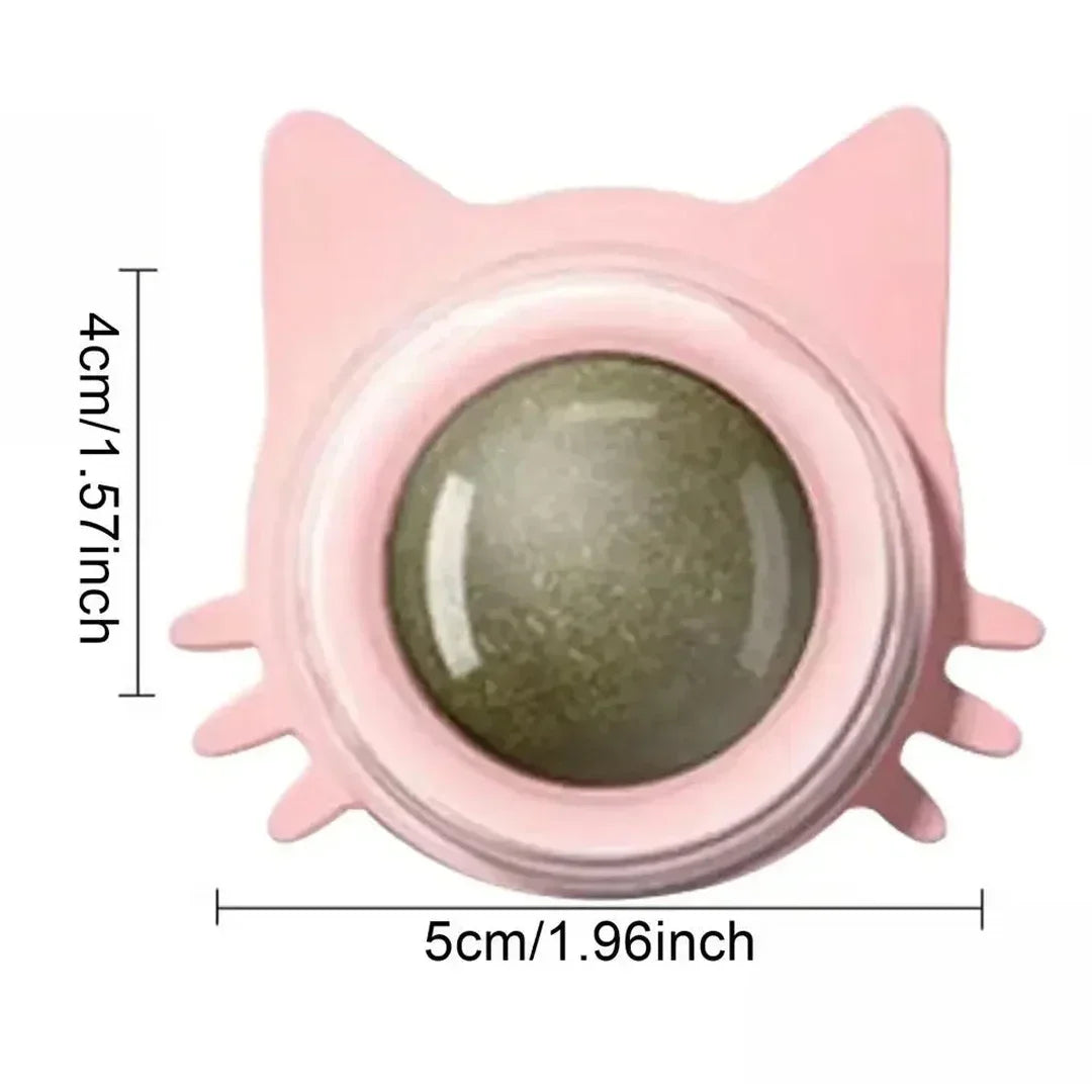 Interactive Catnip Wall Ball Toy-6
