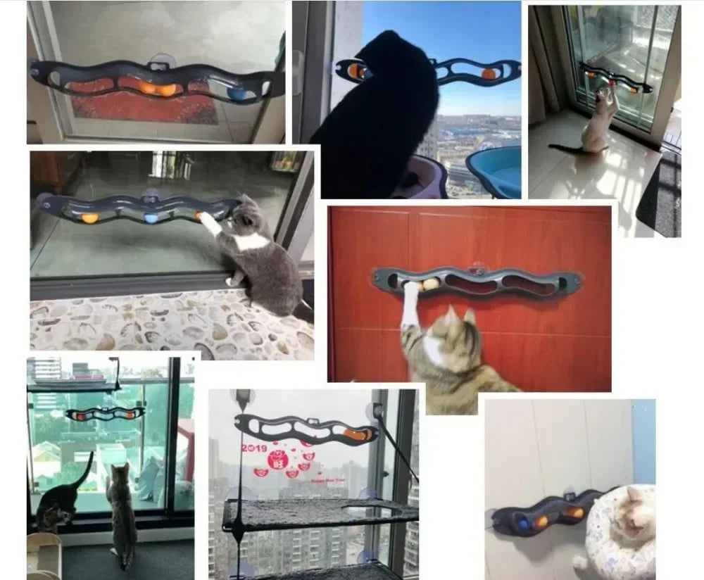 New Track Cat Toy Plastic Sucker Track Ball Pet Accessories Window Table Tennis Adsorption Glass Cat Toy Funny Cat Toys Pet Toys