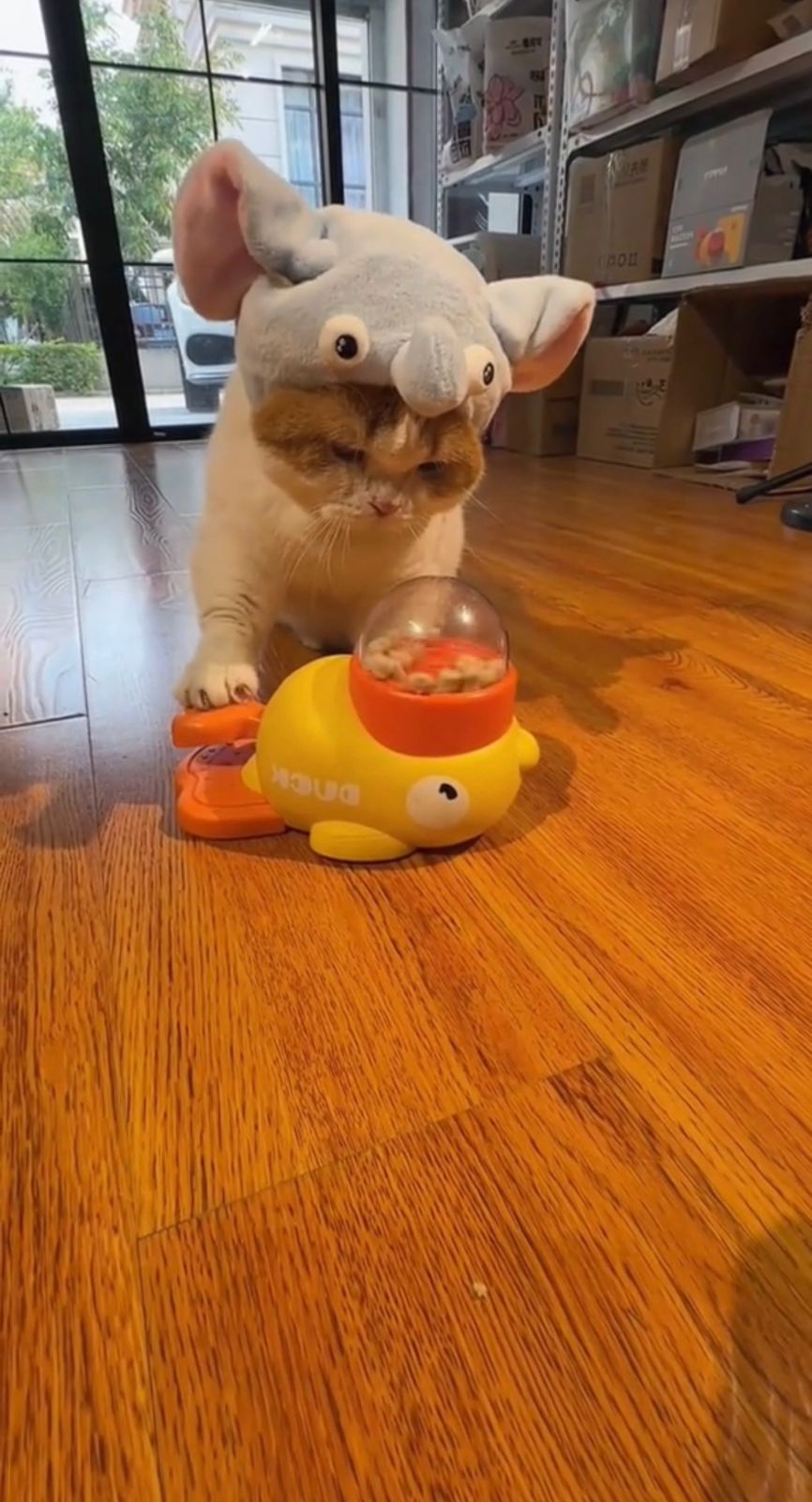 Healthy eating made fun – The Cartoon Duck Treat Dispenser trains your dog’s brain, slows down feeding, and turns snacks into a playful challenge.